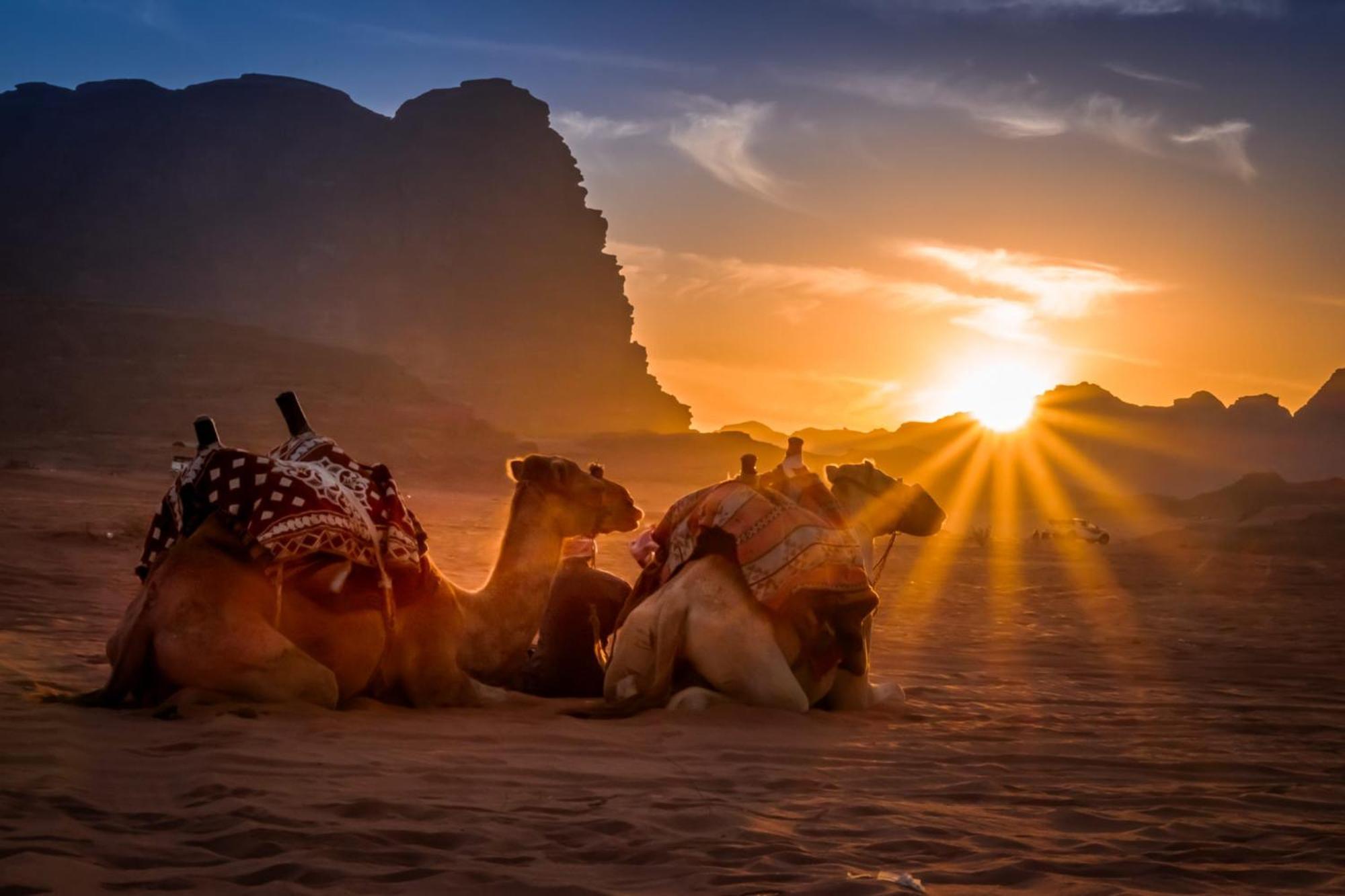 Wadi Rum Mundo Camp Aqaba Esterno foto